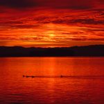 6月24号开奖日即将到来,幸运大奖花落谁家? tme1uc98