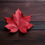 NBA季后赛巅峰对决火热直播,见证冠军之路开启 0thmvz12