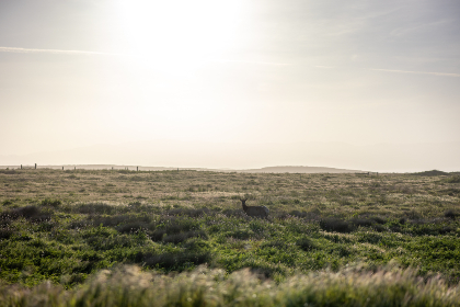 NBA央五直播:巅峰对决不容错过,锁定CCTV5见证传奇时刻 NBA央五直播:巅峰对决不容错过,锁定CCTV5见证传奇时刻
